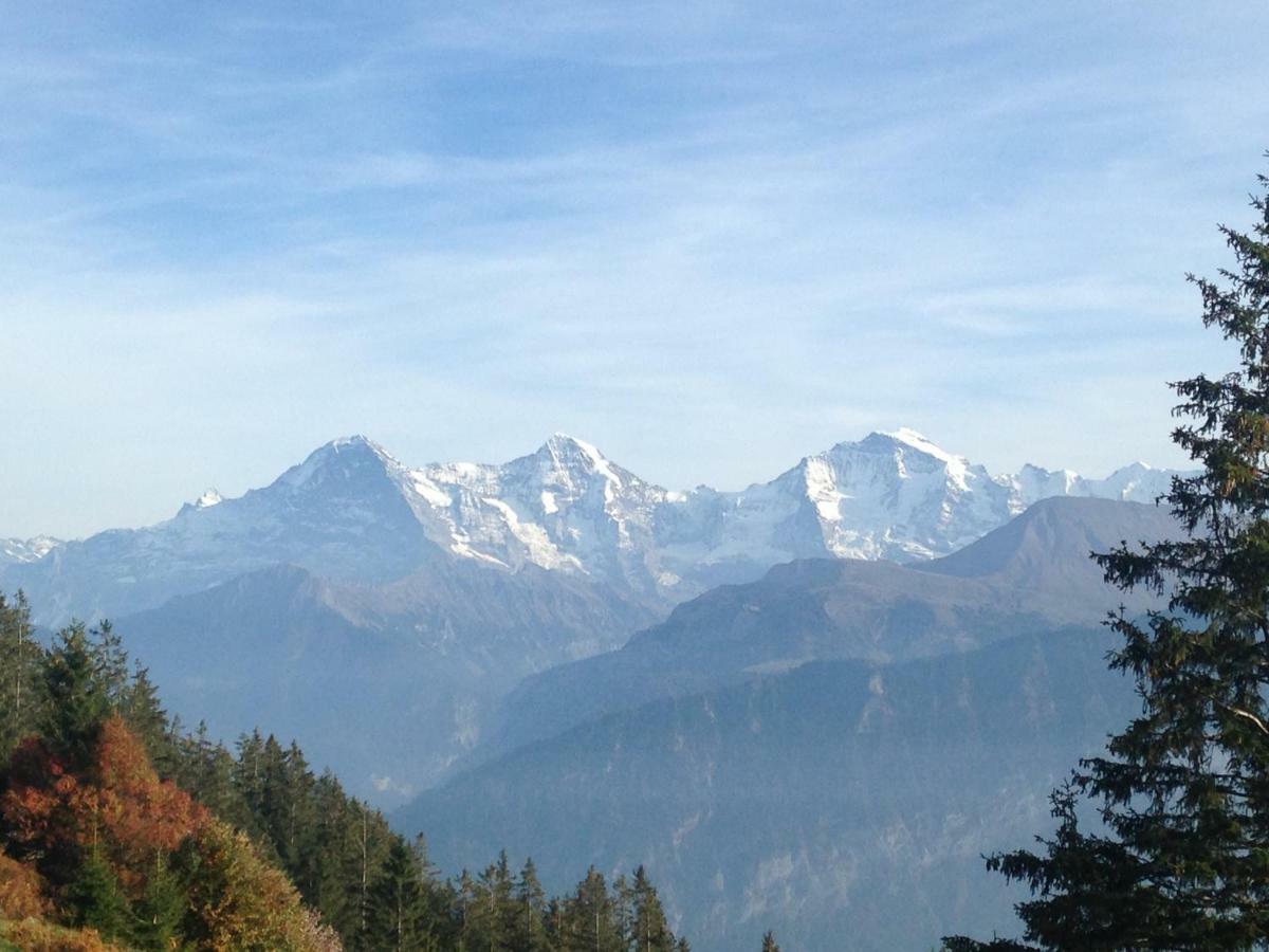 App. Seeblick Top Of Interlaken Beatenberg Eksteriør billede