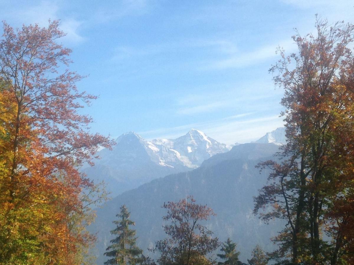 App. Seeblick Top Of Interlaken Beatenberg Eksteriør billede