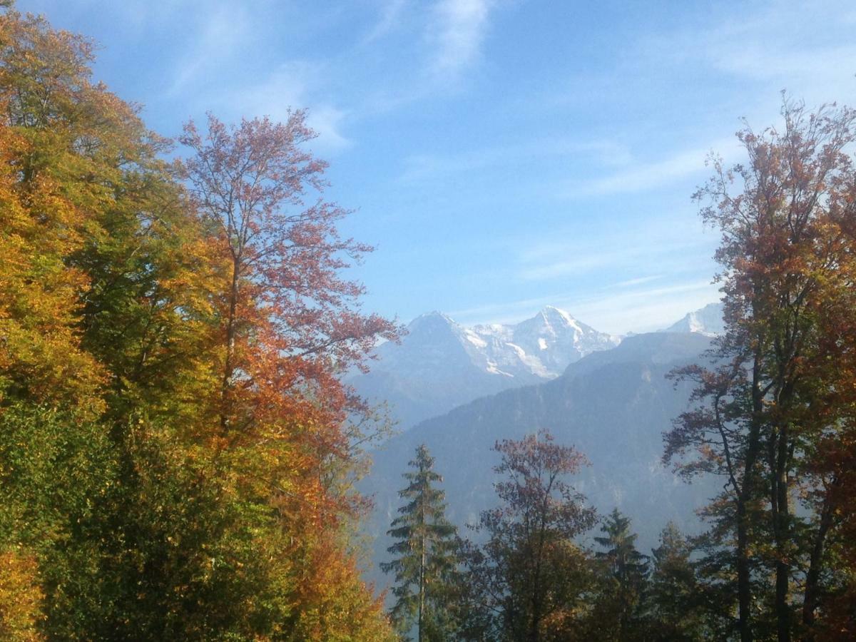 App. Seeblick Top Of Interlaken Beatenberg Eksteriør billede