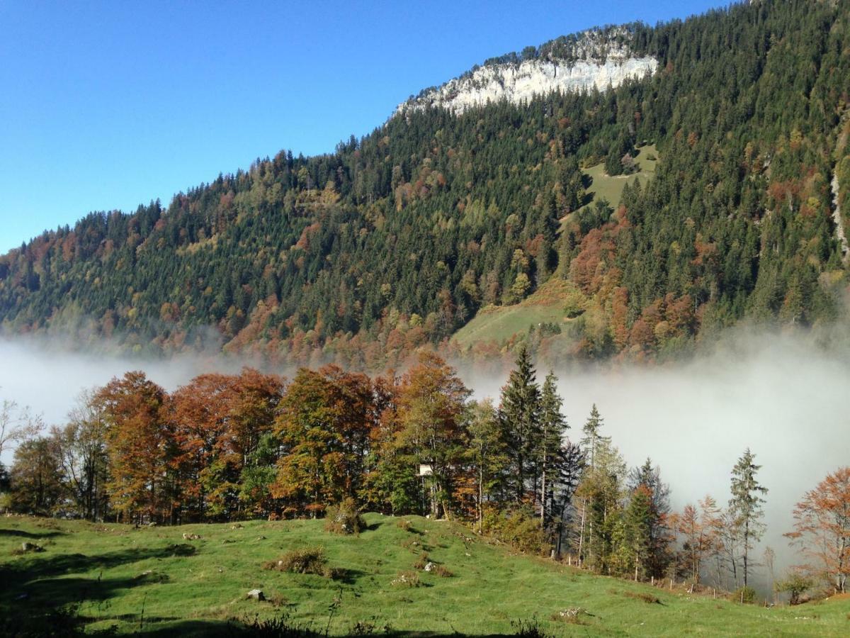 App. Seeblick Top Of Interlaken Beatenberg Eksteriør billede