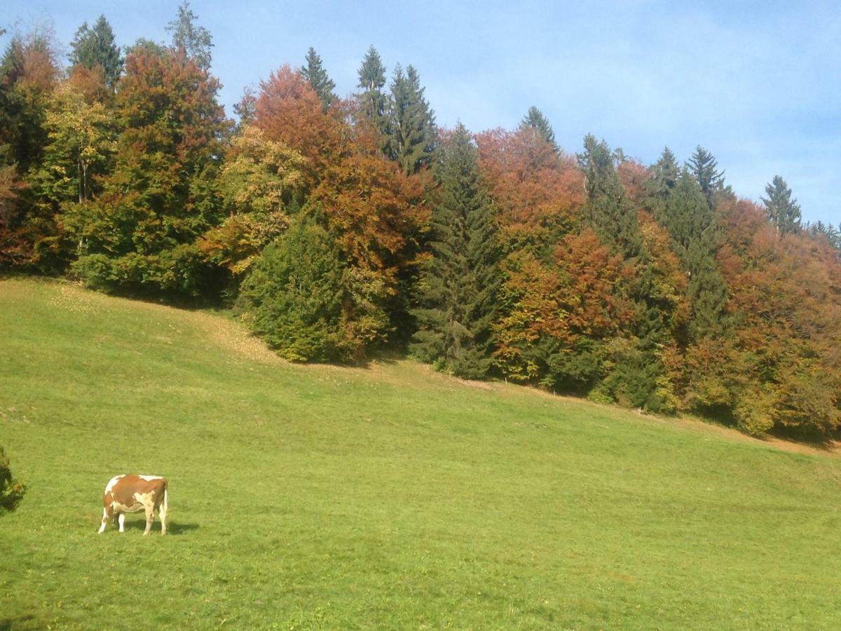 App. Seeblick Top Of Interlaken Beatenberg Eksteriør billede