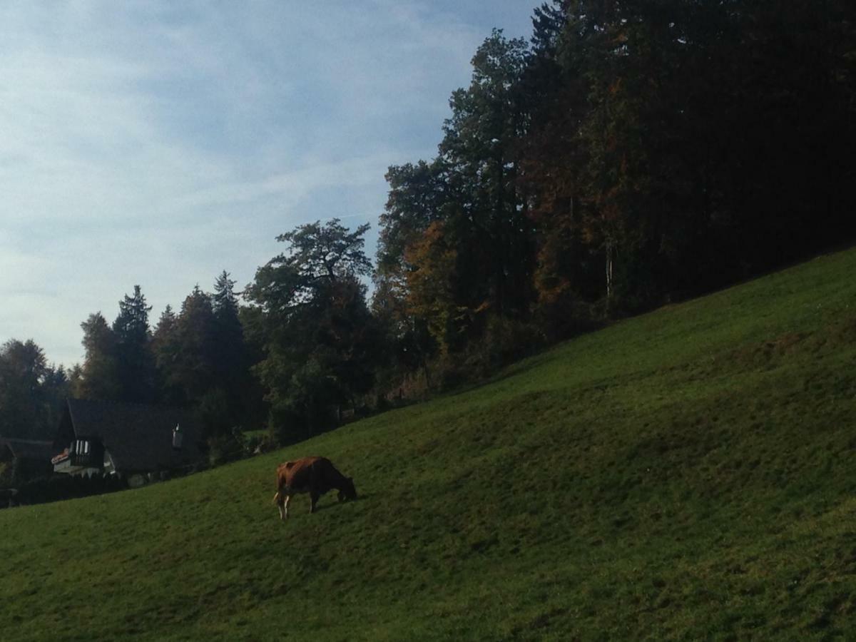 App. Seeblick Top Of Interlaken Beatenberg Eksteriør billede